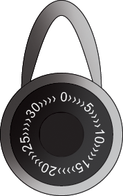 Padlock- protect your household wealth